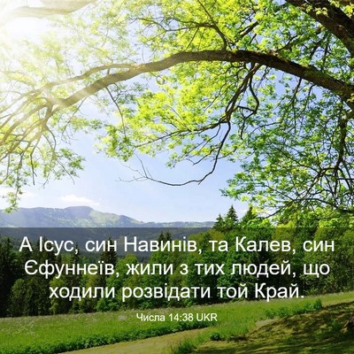 Picture 03 - Числа 14:38 UKR - А Ісус, син Навинів, та - Bible Verse Picture