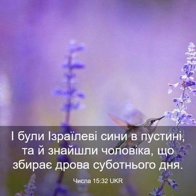 Picture 03 - Числа 15:32 UKR - І були Ізраїлеві сини в - Bible Verse Picture