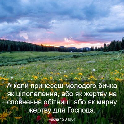 Picture 03 - Числа 15:8 UKR - А коли принесеш молодого - Bible Verse Picture