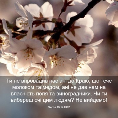 Picture 03 - Числа 16:14 UKR - Ти не впровадив нас ані до - Bible Verse Picture