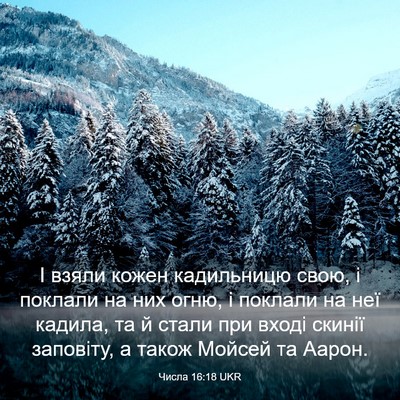 Picture 03 - Числа 16:18 UKR - І взяли кожен кадильницю - Bible Verse Picture