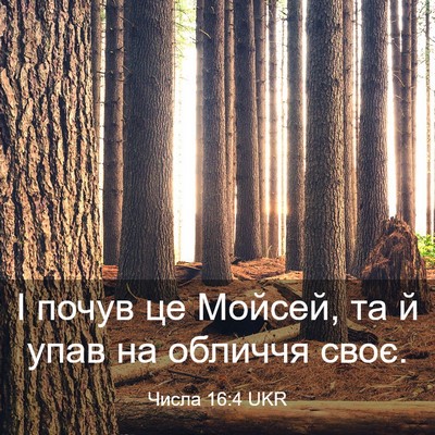 Picture 03 - Числа 16:4 UKR - І почув це Мойсей, та й упав - Bible Verse Picture