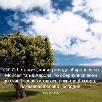 Picture 03 - Числа 16:42 UKR - (17-7) І сталося, коли громада - Bible Verse Picture