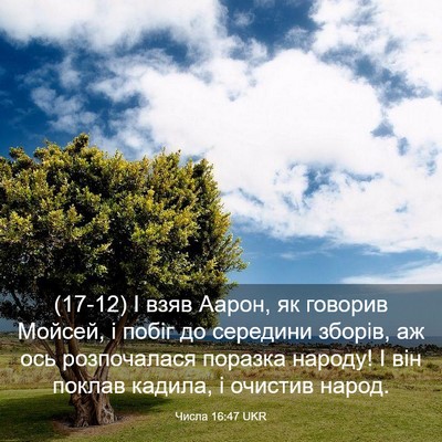 Picture 03 - Числа 16:47 UKR - (17-12) І взяв Аарон, як - Bible Verse Picture