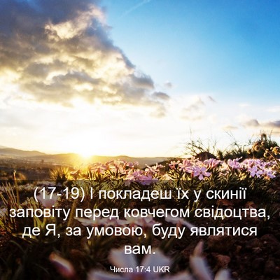 Picture 03 - Числа 17:4 UKR - (17-19) І покладеш їх у скинії - Bible Verse Picture