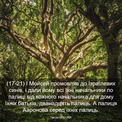 Picture 03 - Числа 17:6 UKR - (17-21) І Мойсей промовляв до - Bible Verse Picture