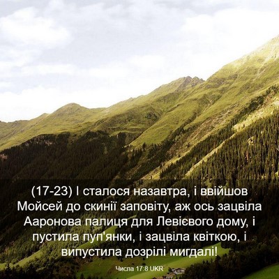 Picture 03 - Числа 17:8 UKR - (17-23) І сталося назавтра, і - Bible Verse Picture