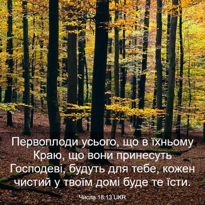 Picture 03 - Числа 18:13 UKR - Первоплоди усього, що в - Bible Verse Picture