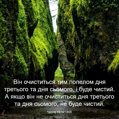 Picture 03 - Числа 19:12 UKR - Він очиститься тим попелом - Bible Verse Picture
