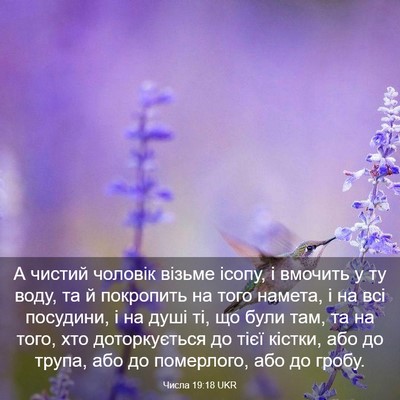 Picture 03 - Числа 19:18 UKR - А чистий чоловік візьме - Bible Verse Picture