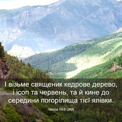 Picture 03 - Числа 19:6 UKR - І візьме священик кедрове - Bible Verse Picture