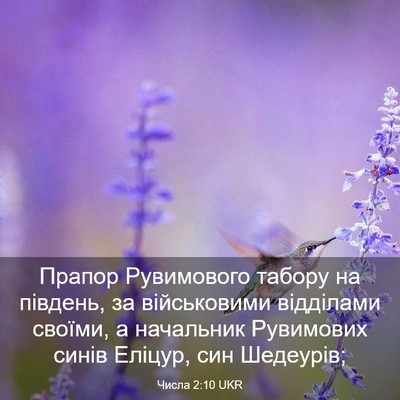 Picture 03 - Числа 2:10 UKR - Прапор Рувимового табору - Bible Verse Picture