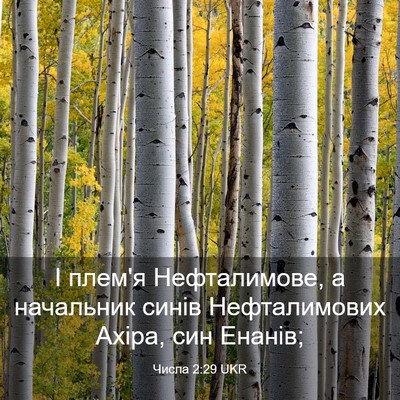 Picture 03 - Числа 2:29 UKR - І плем'я Нефталимове, а - Bible Verse Picture