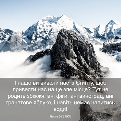 Picture 03 - Числа 20:5 UKR - І нащо ви вивели нас із - Bible Verse Picture