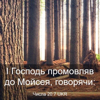 Picture 03 - Числа 20:7 UKR - І Господь промовляв до - Bible Verse Picture