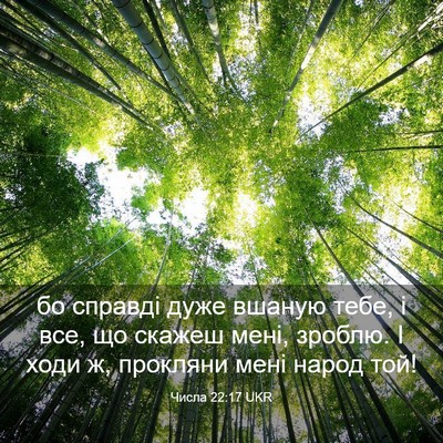 Picture 03 - Числа 22:17 UKR - бо справді дуже вшаную - Bible Verse Picture