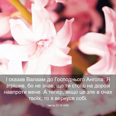 Picture 03 - Числа 22:34 UKR - І сказав Валаам до - Bible Verse Picture
