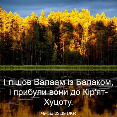 Picture 03 - Числа 22:39 UKR - І пішов Валаам із Балаком, - Bible Verse Picture