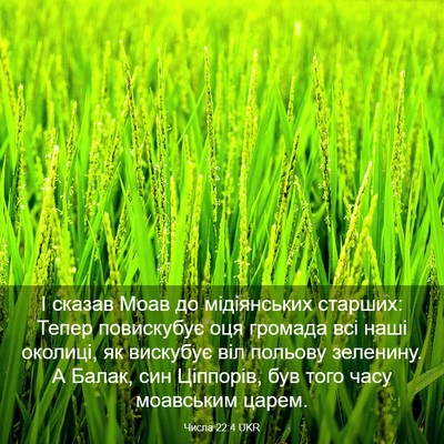 Picture 03 - Числа 22:4 UKR - І сказав Моав до - Bible Verse Picture
