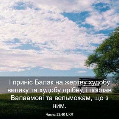 Picture 03 - Числа 22:40 UKR - І приніс Балак на жертву - Bible Verse Picture
