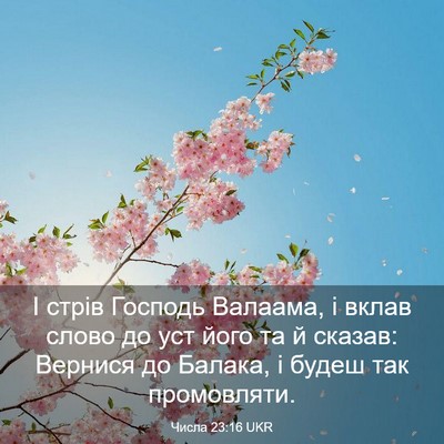 Picture 03 - Числа 23:16 UKR - І стрів Господь Валаама, і - Bible Verse Picture