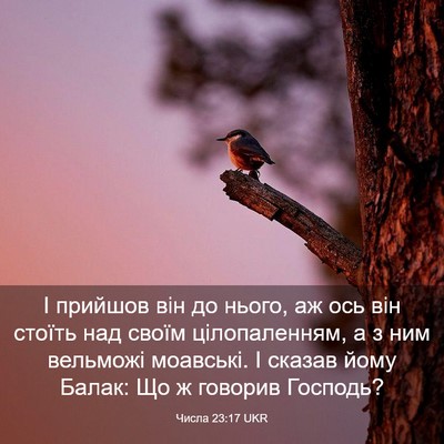 Picture 03 - Числа 23:17 UKR - І прийшов він до нього, аж - Bible Verse Picture