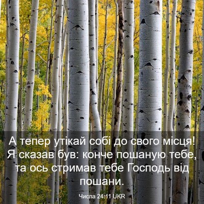 Picture 03 - Числа 24:11 UKR - А тепер утікай собі до - Bible Verse Picture