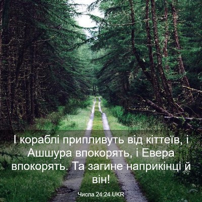 Picture 03 - Числа 24:24 UKR - І кораблі припливуть від - Bible Verse Picture