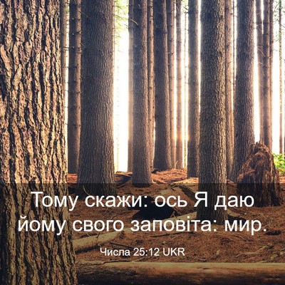 Picture 03 - Числа 25:12 UKR - Тому скажи: ось Я даю йому - Bible Verse Picture