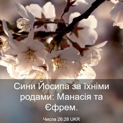 Picture 03 - Числа 26:28 UKR - Сини Йосипа за їхніми - Bible Verse Picture