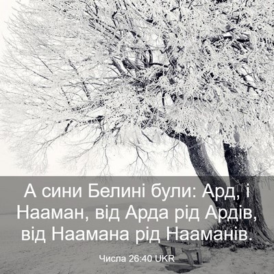 Picture 03 - Числа 26:40 UKR - А сини Белині були: Ард, і - Bible Verse Picture