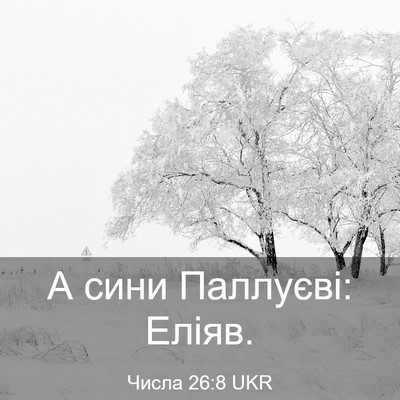 Picture 03 - Числа 26:8 UKR - А сини Паллуєві: - Bible Verse Picture