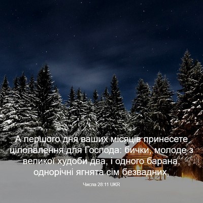 Picture 03 - Числа 28:11 UKR - А першого дня ваших - Bible Verse Picture