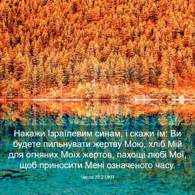 Picture 03 - Числа 28:2 UKR - Накажи Ізраїлевим синам, і - Bible Verse Picture