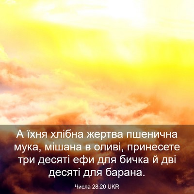 Picture 03 - Числа 28:20 UKR - А їхня хлібна жертва - Bible Verse Picture