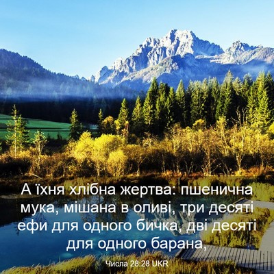 Picture 03 - Числа 28:28 UKR - А їхня хлібна жертва: - Bible Verse Picture