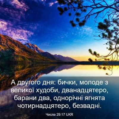 Picture 03 - Числа 29:17 UKR - А другого дня: бички, - Bible Verse Picture