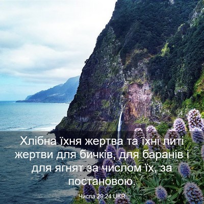 Picture 03 - Числа 29:24 UKR - Хлібна їхня жертва та їхні - Bible Verse Picture