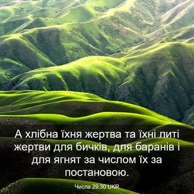 Picture 03 - Числа 29:30 UKR - А хлібна їхня жертва та - Bible Verse Picture