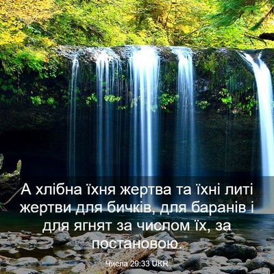 Picture 03 - Числа 29:33 UKR - А хлібна їхня жертва та - Bible Verse Picture