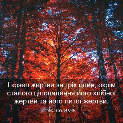 Picture 03 - Числа 29:34 UKR - І козел жертви за гріх - Bible Verse Picture