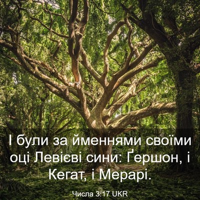 Picture 03 - Числа 3:17 UKR - І були за йменнями своїми - Bible Verse Picture