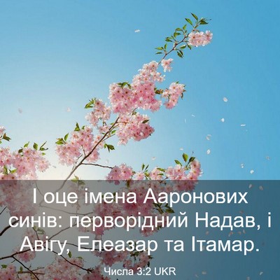 Picture 03 - Числа 3:2 UKR - І оце імена Ааронових - Bible Verse Picture