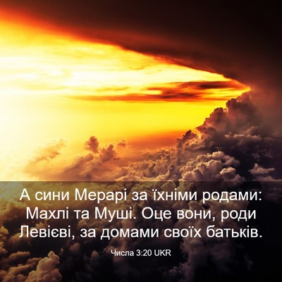 Picture 03 - Числа 3:20 UKR - А сини Мерарі за їхніми - Bible Verse Picture