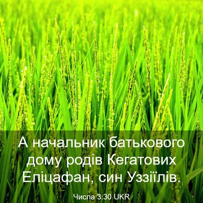 Picture 03 - Числа 3:30 UKR - А начальник батькового - Bible Verse Picture