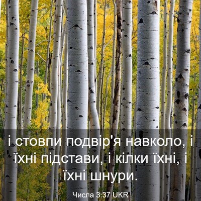 Picture 03 - Числа 3:37 UKR - і стовпи подвір'я навколо, - Bible Verse Picture