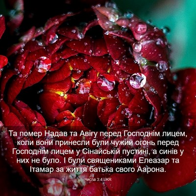 Picture 03 - Числа 3:4 UKR - Та помер Надав та Авігу - Bible Verse Picture