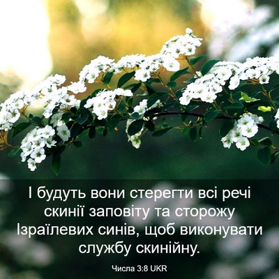 Picture 03 - Числа 3:8 UKR - І будуть вони стерегти всі - Bible Verse Picture