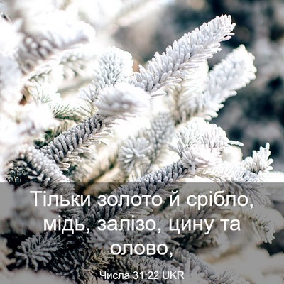 Picture 03 - Числа 31:22 UKR - Тільки золото й срібло, - Bible Verse Picture