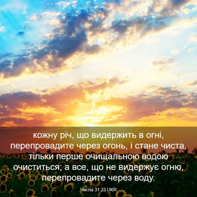 Picture 03 - Числа 31:23 UKR - кожну річ, що видержить в - Bible Verse Picture